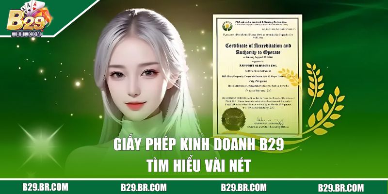 Tìm hiểu về giấy phép kinh doanh của B29